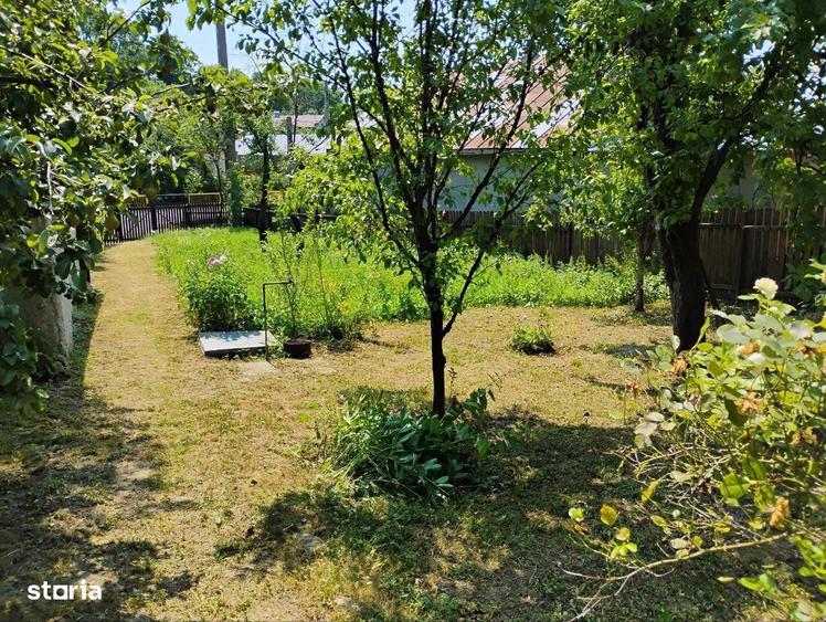 Telega Str.Principala - Casa de vacanta - 3