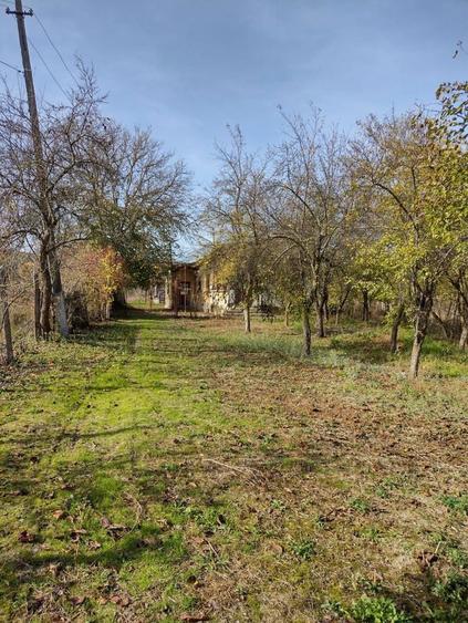 Casa din caramida + teren 3840 mp in Mazili, Valcea - 3