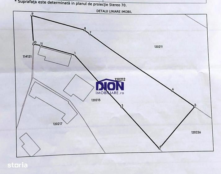 Domnesti Teghes ideal investitie,toate utilitatile - 1