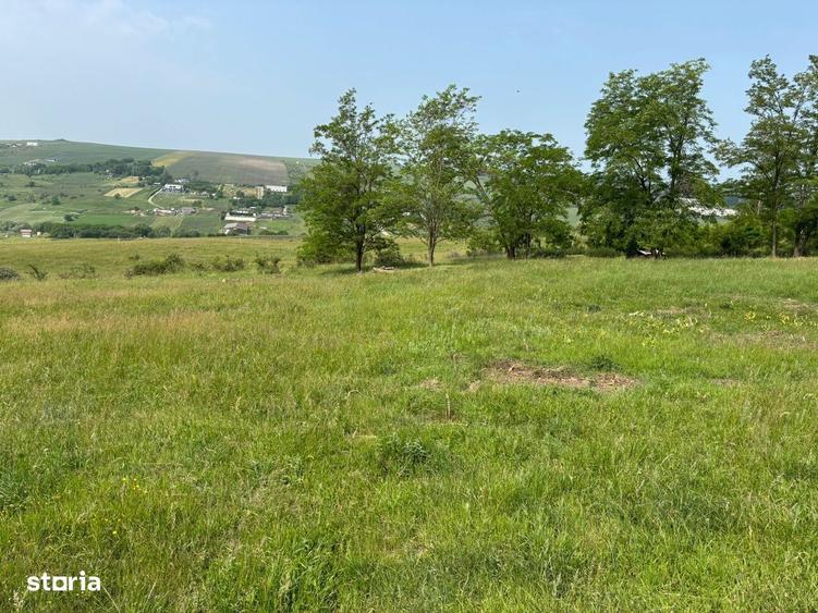 Teren extravilan Dealul Fanatelor/ ideal investitie - 2