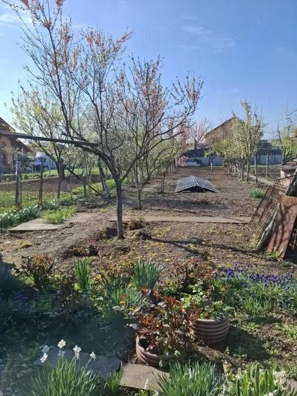 Sanandrei - Casa 5 Camere - Vatra Satului -Teren generos - 4