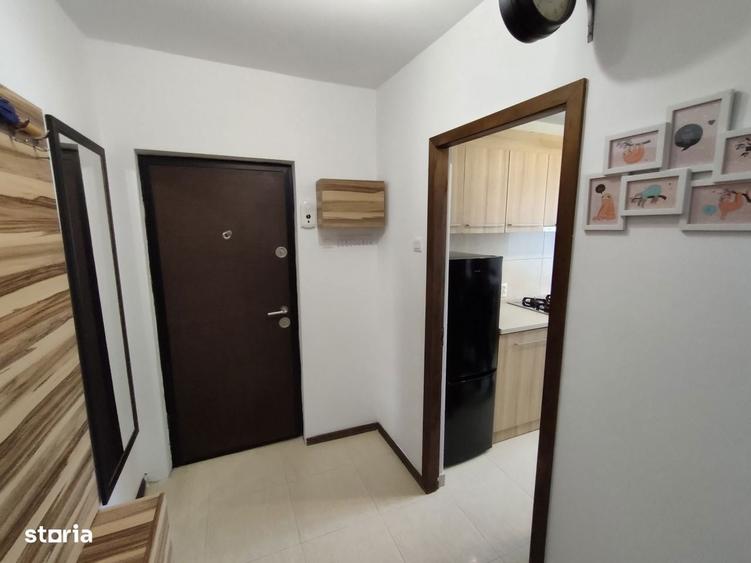 Apartament 2 Camere 50 Mp Constantin Brancusi - 2