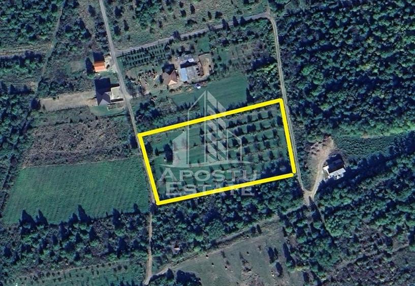 Teren Construibil - Sebis - 2