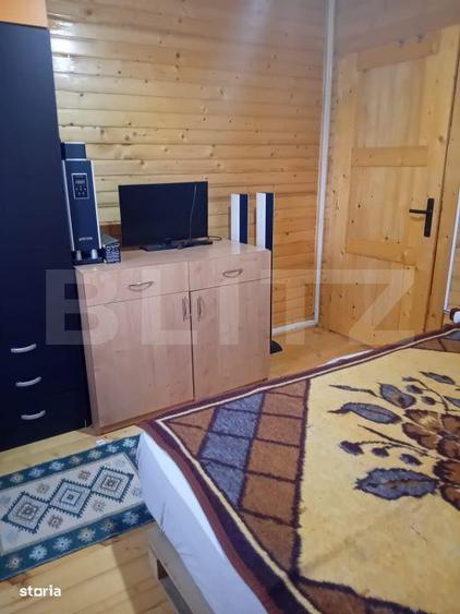 Cabana + teren generos, 60 mp utili, 30 km de Deva - Boz - 4