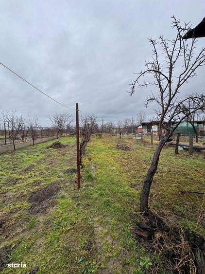 Casa de vanzare zona Sacadat - 1