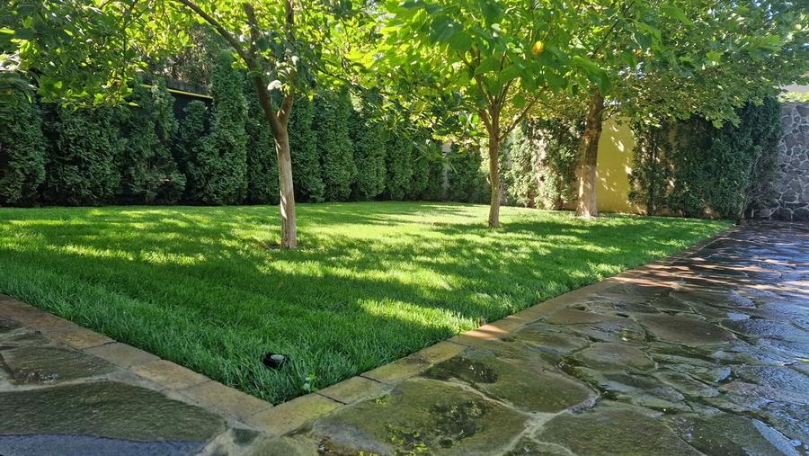 Fundulea, vila 185 mp cu teren 4000 mp, potential dezvoltare imobiliara - 9