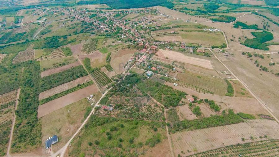 De vanzare Teren 3995mp intravilan Saldabagiu de Munte - 8