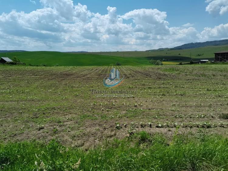 Teren 8500mp+8500 mp, deschidere 32 m+32 m, Negresti, Jud. Neamt - 2