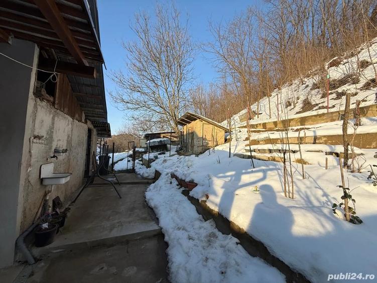 Vand casa in Tarnova - 9