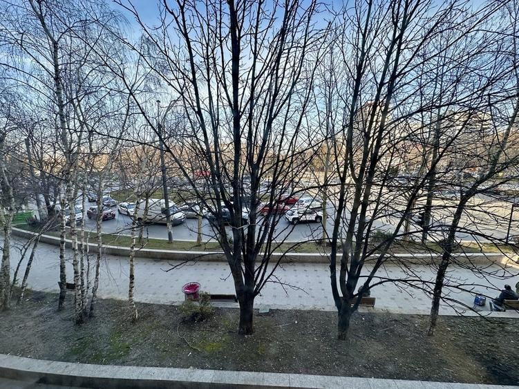 Rond Baba Novac, Dristor - 8