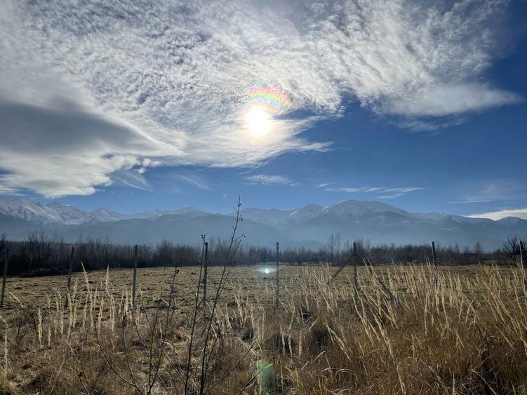 Teren Valea Avrigului - 1