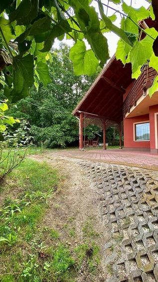 Giurgiu, vila cu padure proprie, izvor si iaz pe 19.900 mp teren - 10