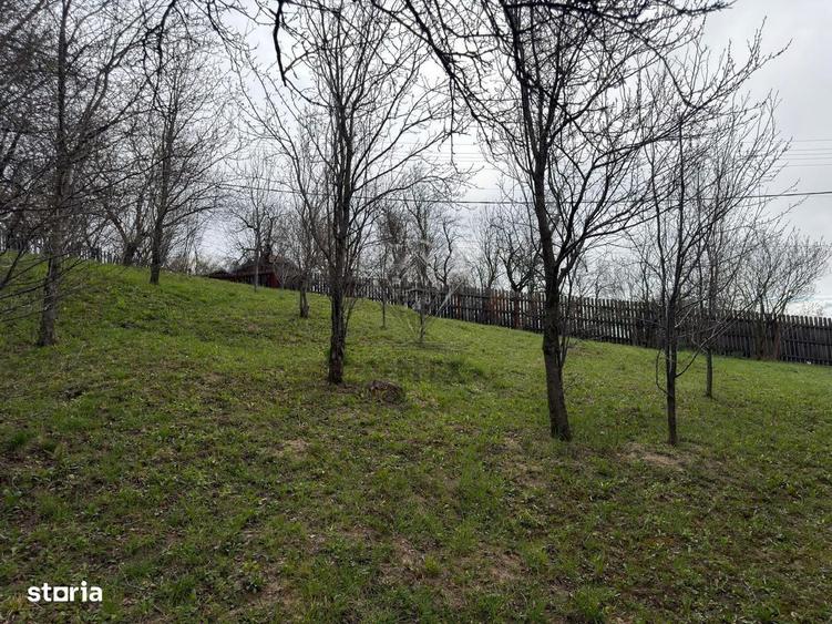Teren intravilan 1518 mp, constructie, Sotrile, Prahova - 24 EURmp - 5