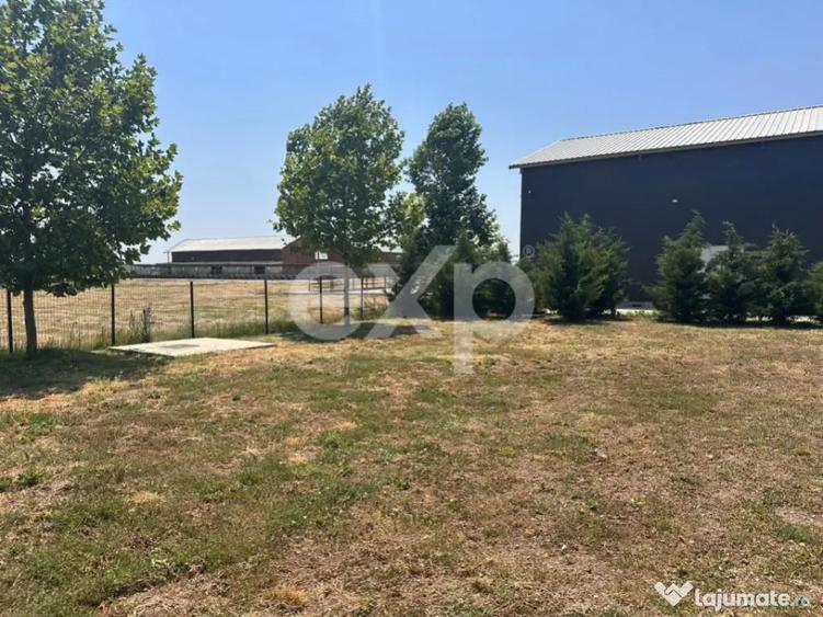 Black Angus Farm with authorized Slaughterhouse - 9