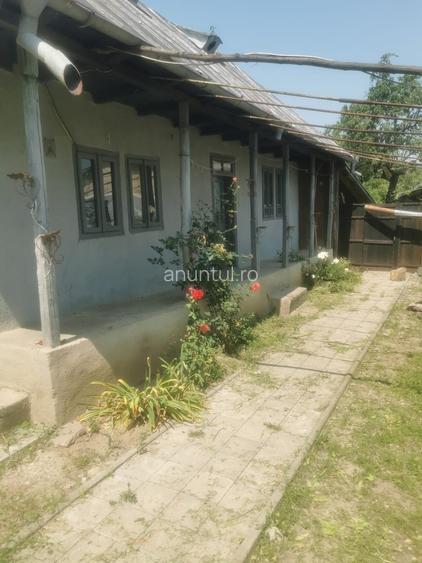 Satul Cornatel, comuna Urechesti, jud. Bacau, vand casa batraneasca