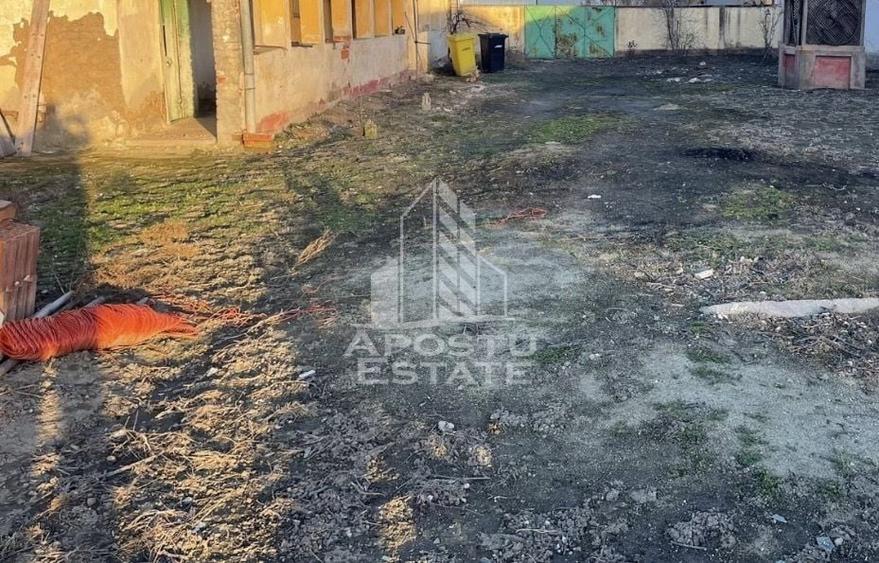 Casa veche cu teren de 1284 mp in Recas - 3