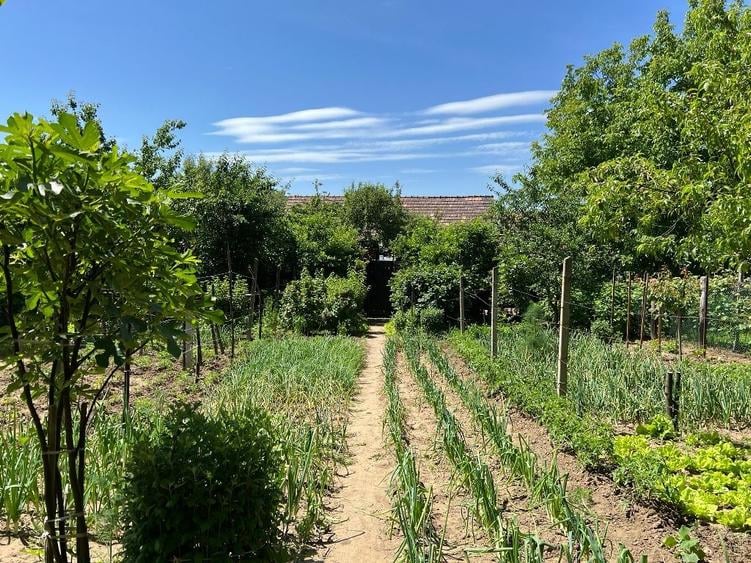 Casa in comuna Valea Lunga judetul Alba - 4
