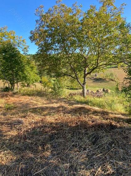 Casa + teren Certeju de Jos, Comuna Vorta ( Hunedoara) - 6