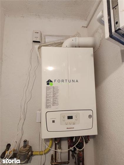 Casa singur in curte - Florilor - 12