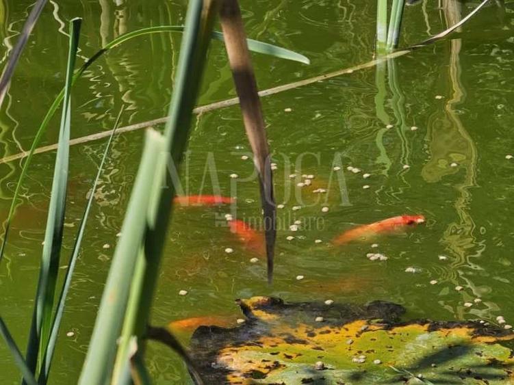 Casa 6 camere de vanzare in Tureni... - Comision 0% - 7