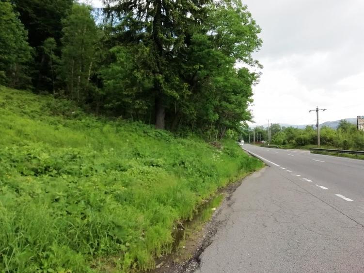 Teren Busteni, 3.999 mp, deschidere DN 1 aprox. 113 m, comision 0% - 5