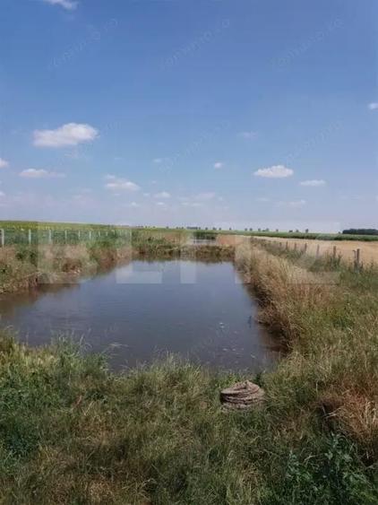 Casa pe parter 50mp utili + teren 4700mp, Bailesti - 6