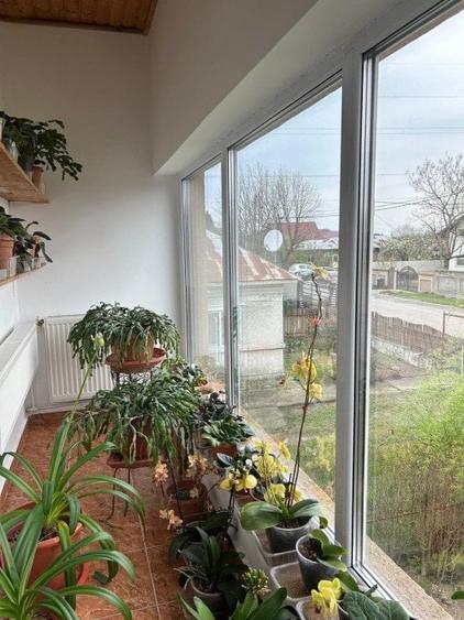 Casa + teren -centrala proprie -Cornetu -Ilfov - 13