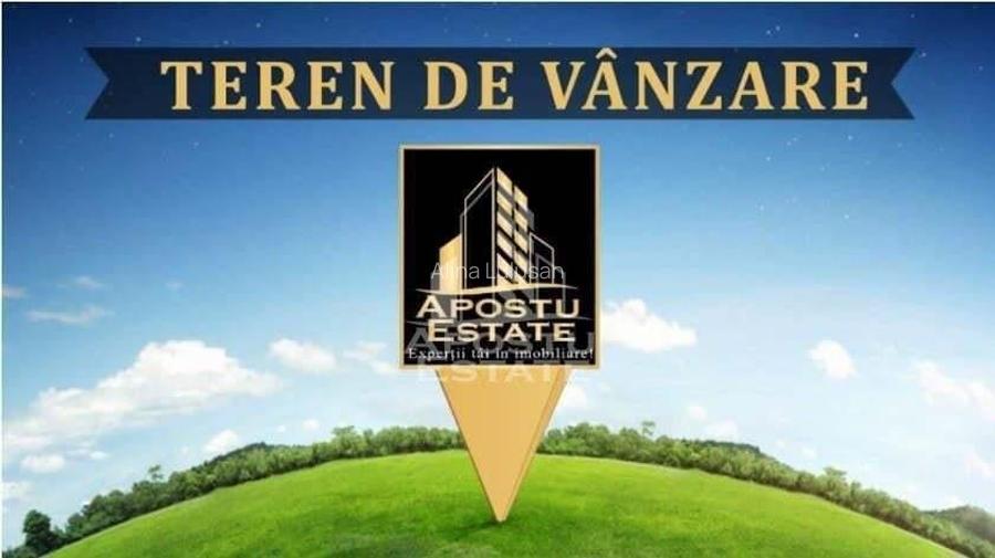 Teren extravilan, pe centura Macea-Curtici Teren extravilan, pe centura Macea-Curtici