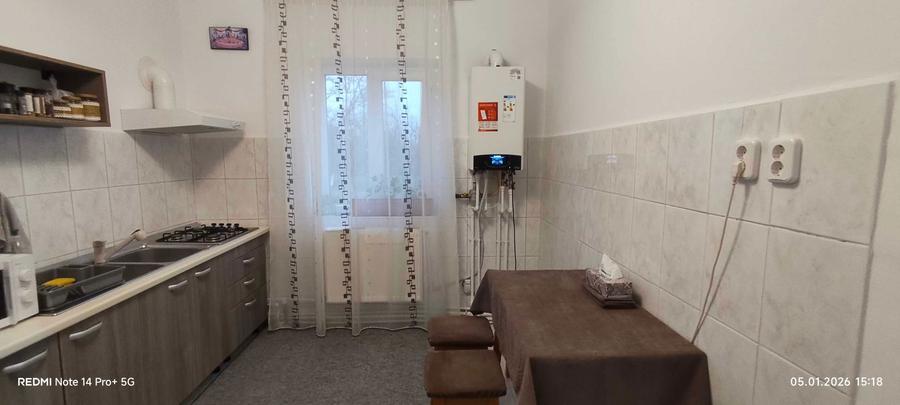 Casa P+1+Mp (153 mp) Radu Negru (Calarasi) - 7