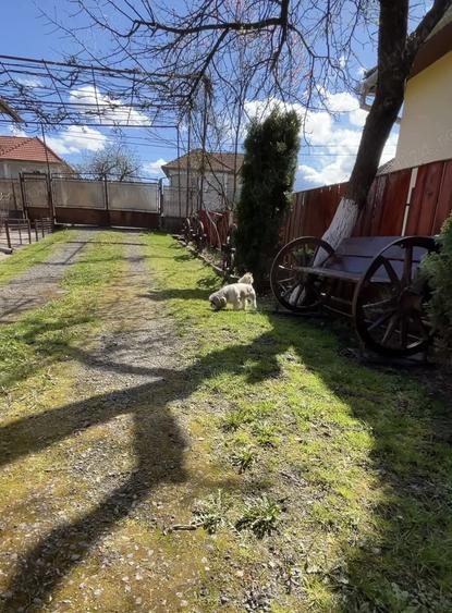 Vand casa urgent ! - 4