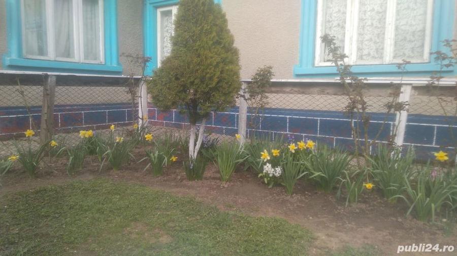 Se vinde casa cu teren in Constan?a Palazu Mare - 8