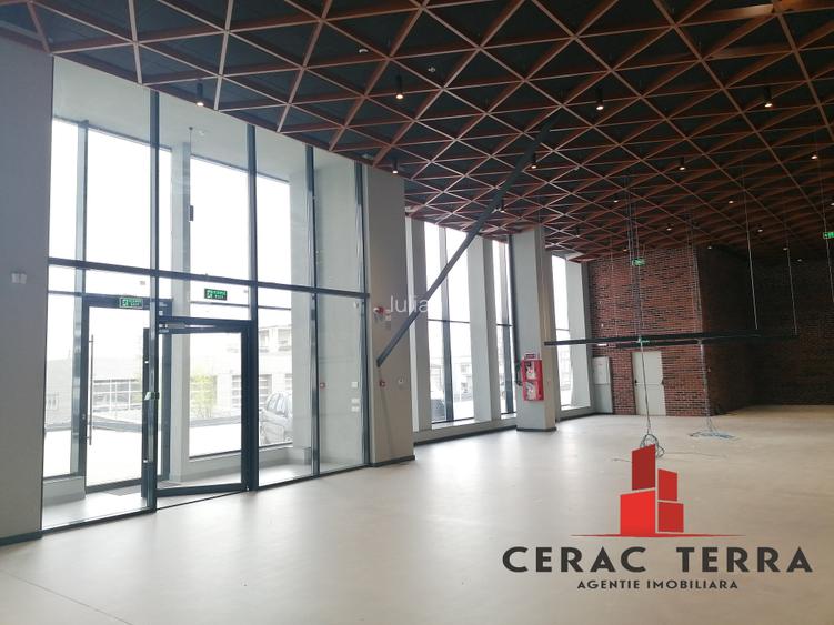 Spațiu comercial, 780 mp în Calea București Spațiu comercial, 780 mp în Calea București