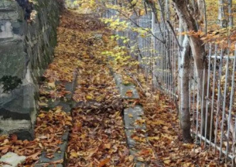 Teren extravilan 1200 mp, cu cabana, Tarnita, iesire la lac! - 5