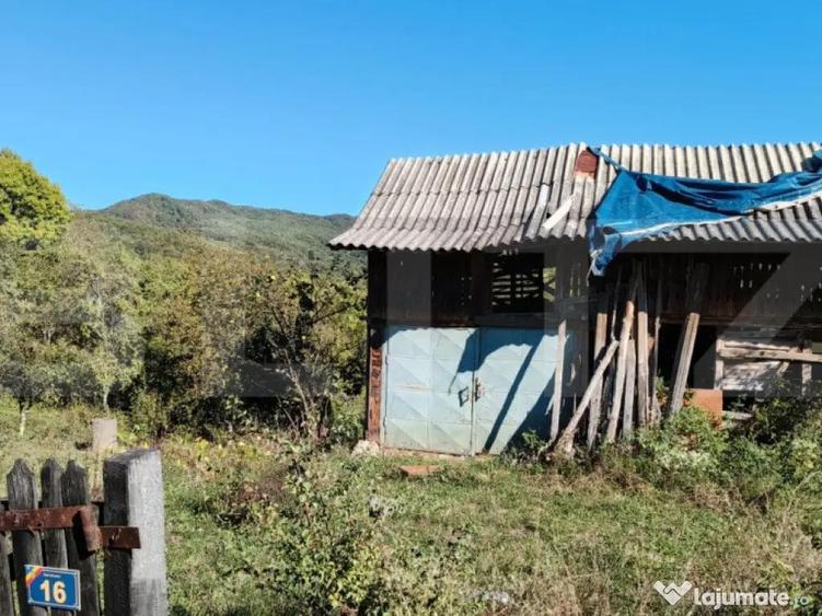 Teren cu priveli?te superba , livada ?i poten?ial casu? - 11