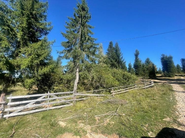 Teren Intravilan | Dealul Negru | Investiție | 1500 mp - 2