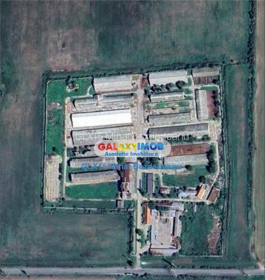 Ferma zootehnica, zona Tomsani Ferma zootehnica, zona Tomsani