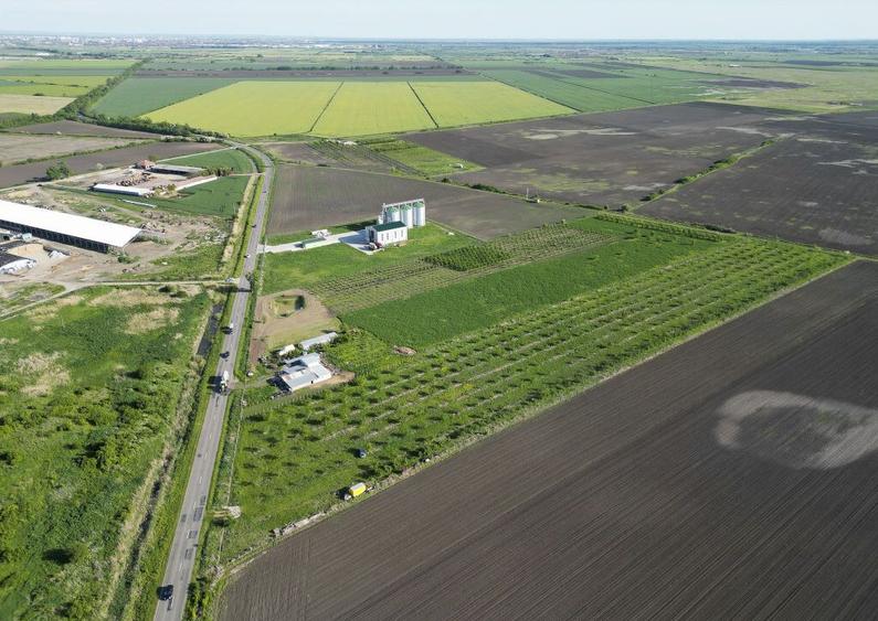 Livada de nuci ?i pruni 2.4ha in Varia?u Mare - 3