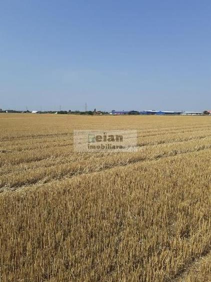 Magurele - Benzinaria Tsv Intravilan 3500 Mp Dubla Deschidere 22/135ml - 7