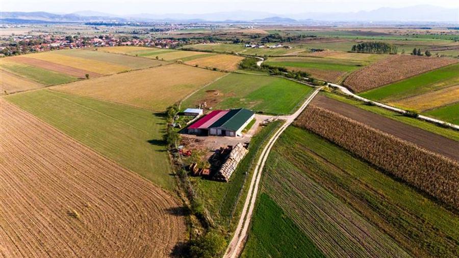 Teren agricol extravilan de 18000 mp, în Exterior Est