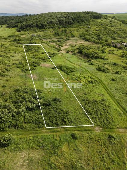 Teren agricol extravilan de 7172 mp, în Valea Ursului