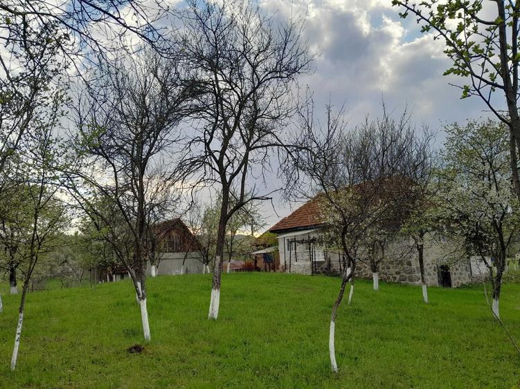 Casa + teren de vanzare in Brad, Hunedoara proprietar - 5