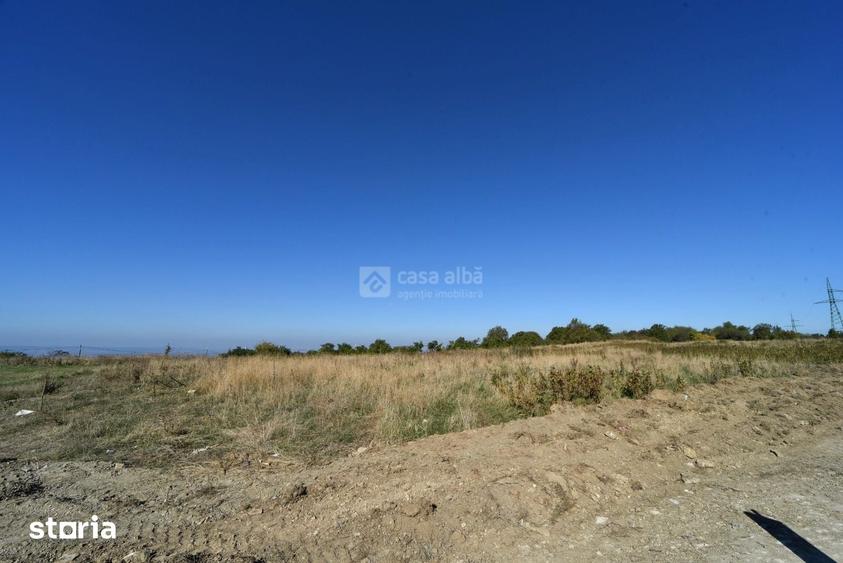 Teren de 10000 mp, în Bârnova