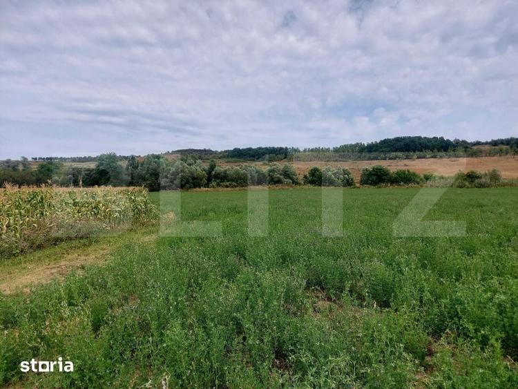Teren de 27500 mp, în Iclod