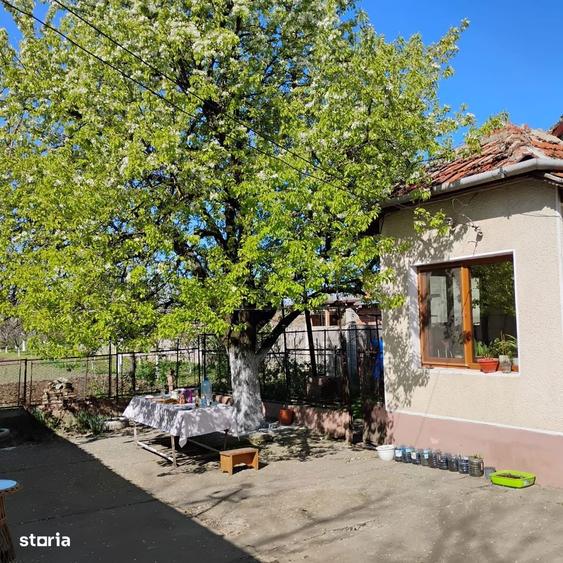 Vand casa cu teren 1000 mp2 Utvin, la 3 km de Timisoara - 7