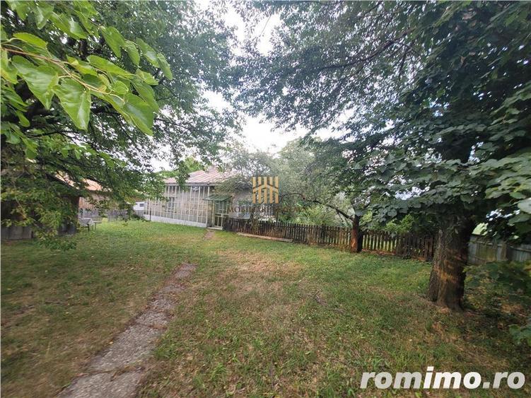 Casa Orheienilor! - 5