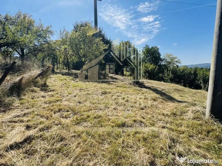 TEREN INTRAVILAN 3234 MP LERE?TI VOINE?TI ARGE? - 2