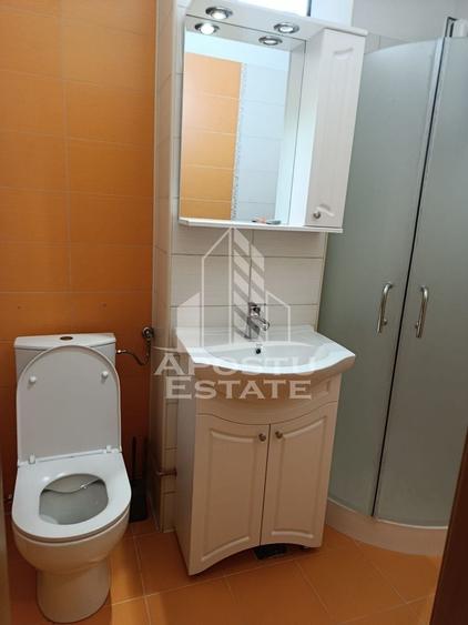 Apartament cu 3 camere de inchiriat, Zona Cetatii, Timisoara - 9