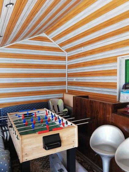 Vanzare case,+teren 25.000mp-Calinesti Arges-langa Pitesti - 5