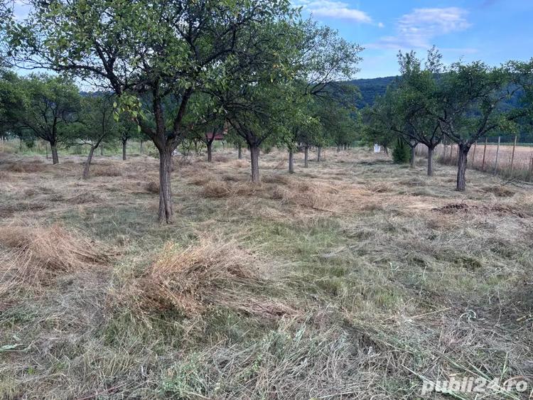 Teren de inchiriat - 3