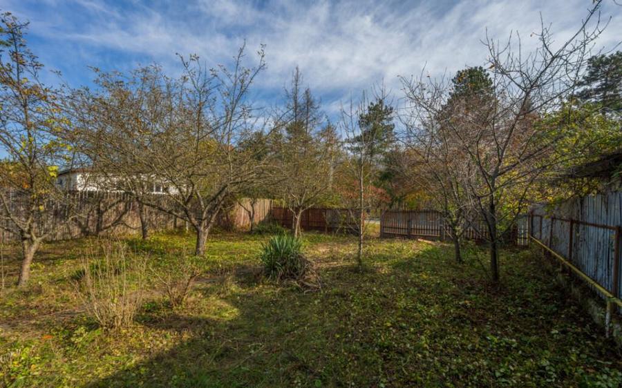 SNAGOV CENTRAL, CASA 144 MP, LOT 1000 MP! - 5